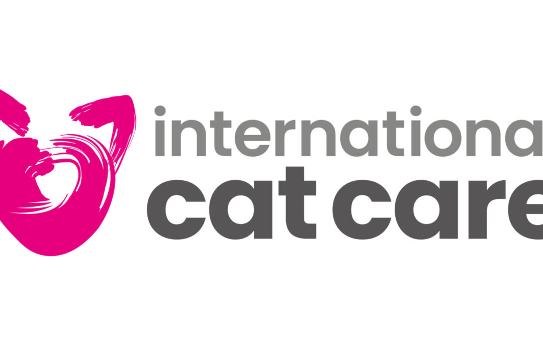 iCatCare’s Review of Our Sneak Preview