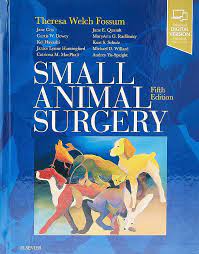 Small animal surgery