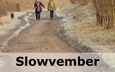 Slowvember