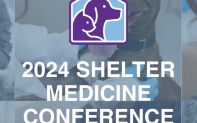 BradyCare Goes to the 2024 Shelter Medicine Conference